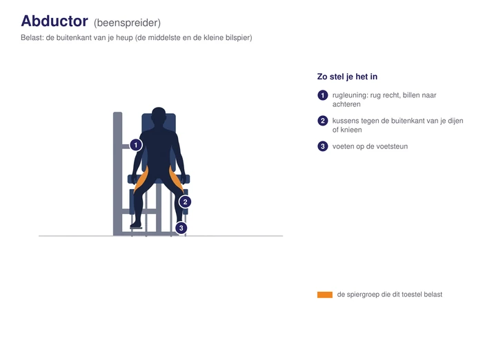 Abductor, schematisch, met de buitenkant van de heup gearceerd