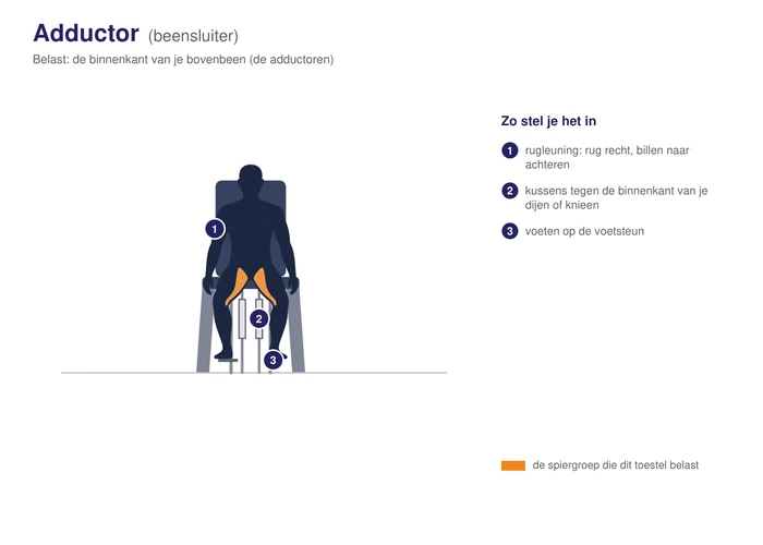 Adductor, schematisch, met de binnenkant van het bovenbeen gearceerd