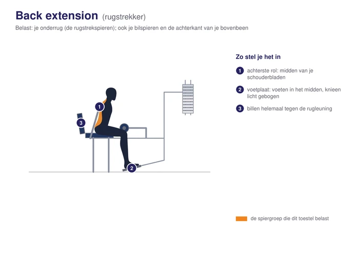 Back extension, schematisch, zittend met de voeten op de voetplaat en de rol achter de schouderbladen, de rugstrekspieren gearceerd