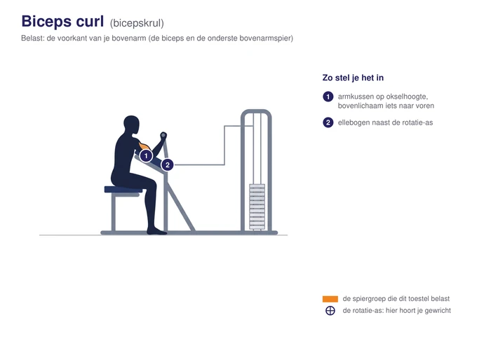 Biceps curl, schematisch, zittend met de bovenarmen op het armkussen en de handen aan de stang, de biceps gearceerd