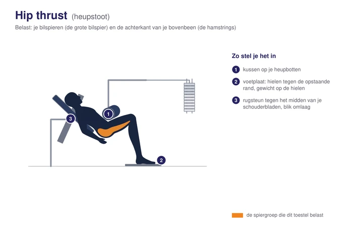 Hip thrust, schematisch, met de bilspieren gearceerd