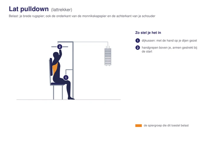 Lat pulldown, schematisch, zittend onder een hoge katrol met de stang boven het hoofd, de brede rugspier gearceerd