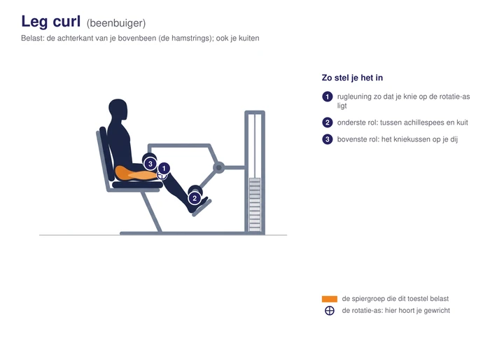 Leg curl, schematisch, met de achterkant van het bovenbeen gearceerd