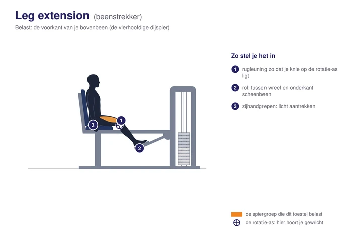 Leg extension, schematisch, met de voorkant van het bovenbeen gearceerd
