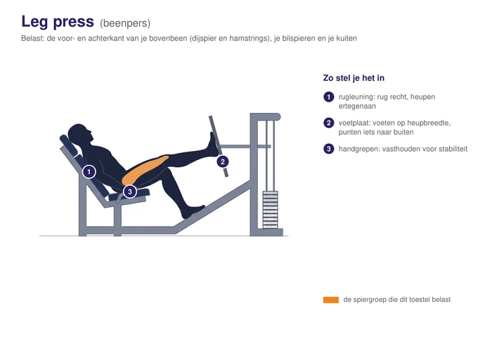 Leg press, schematisch, met de voorkant van het bovenbeen gearceerd