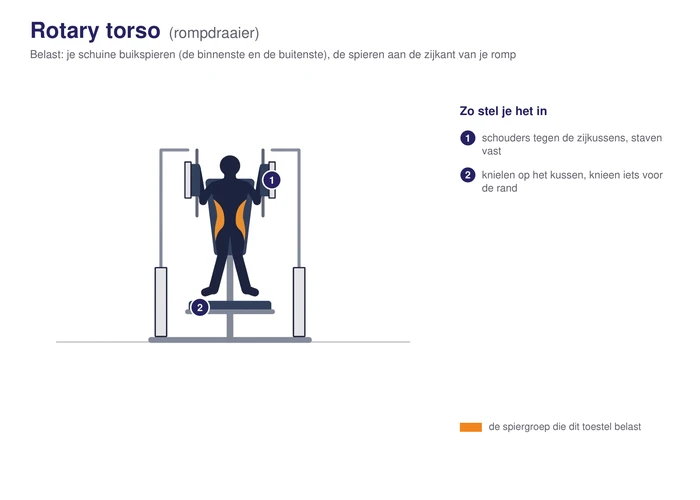 Rotary torso, schematisch, knielend met de schouders tegen de zijkussens en de handen om de verticale staven, de schuine buikspieren gearceerd