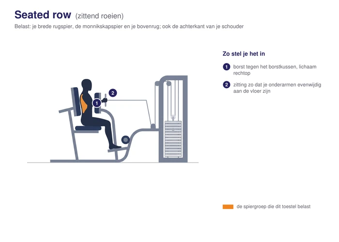 Seated row, schematisch, zittend met de borst tegen het kussen en de handgrepen naar het lichaam getrokken, de brede rugspier en de bovenrug gearceerd