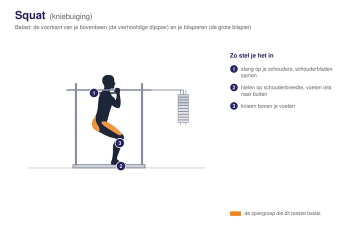 Squat, schematisch, met de voorkant van het bovenbeen en de bilspieren gearceerd