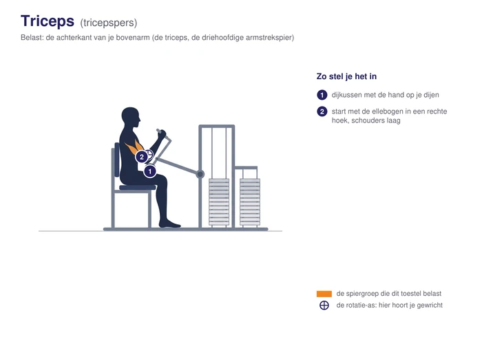 Triceps press, schematisch, zittend met het bovenlichaam licht naar voren en de armen naar beneden gestrekt, de triceps gearceerd