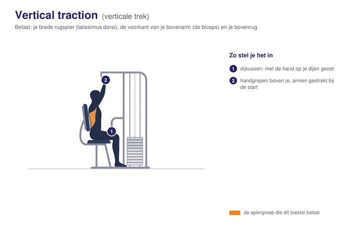 Vertical traction, schematisch, zittend met de rug tegen het rugkussen en de handgrepen boven de schouders, de brede rugspier gearceerd